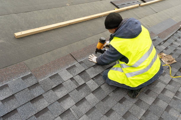 Best Roof Waterproofing Services  in Rushvle, IL