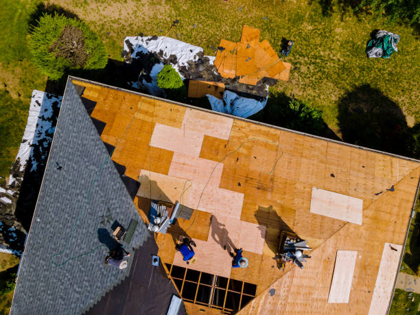 Best Metal Roofing Contractor  in Rushvle, IL