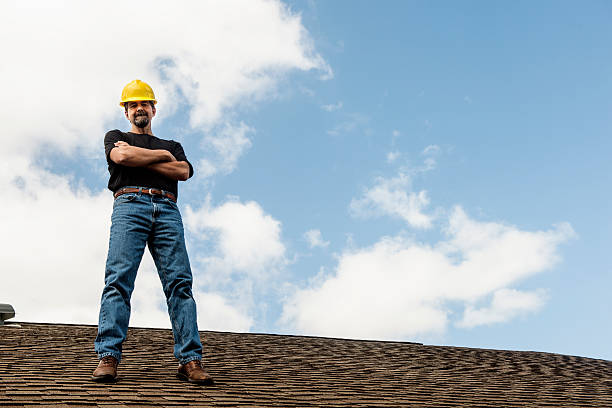 Best Roof Gutter Cleaning  in Rushvle, IL