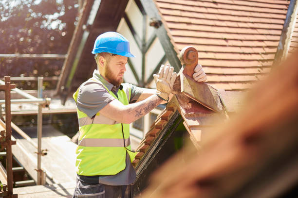 Best Best Roofing Contractors  in Rushvle, IL