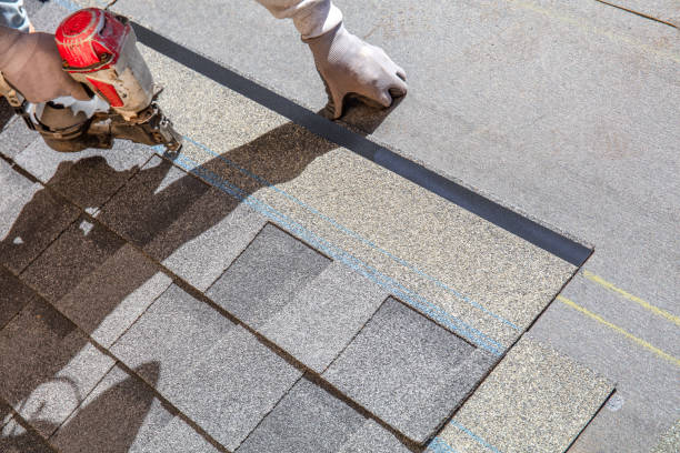 Best Flat Roof Repair Services  in Rushvle, IL