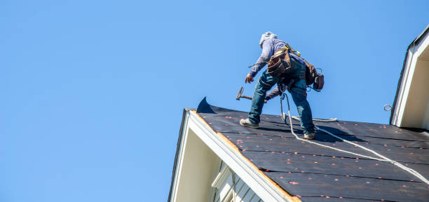 Roof Gutter Cleaning in Rushville, IL